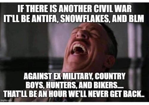 I'll be ANTIFA, BLM and snowflakes