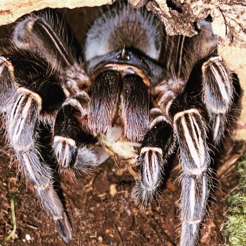 790E49F2-A21F-4CEC-A04C-9C6160D574F9