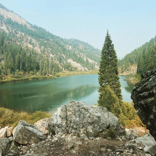 77CD610D-8CB1-4D4F-A241-D009F7CC85D1