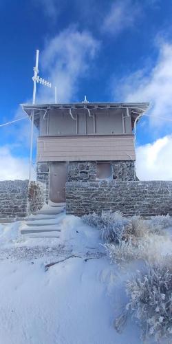 46674495_1982694048462538_2989945421595410432_n