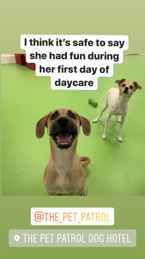 D063BB5A-9A38-4CF5-ADD9-A7EFF63B4EC0