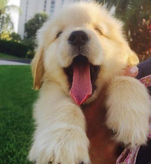 23670F57-9980-49B9-8449-890404850641