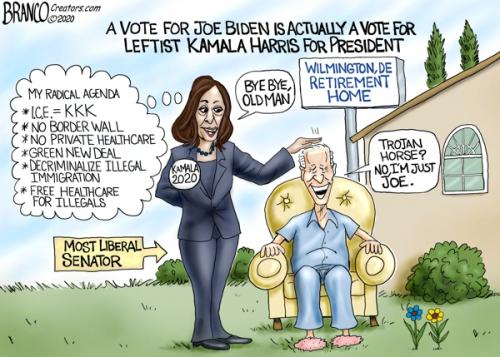 bye-bye-biden-ad-600