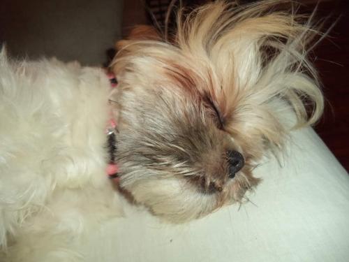 FB_IMG_1596930232379