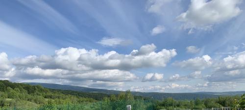 B1D1E426-2423-4891-B4AA-B152D69A659D