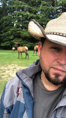 I love how close I got the the elk