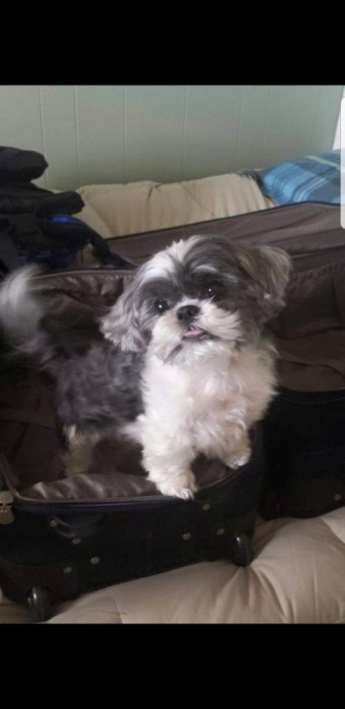 Screenshot_20200826-090824_Gallery