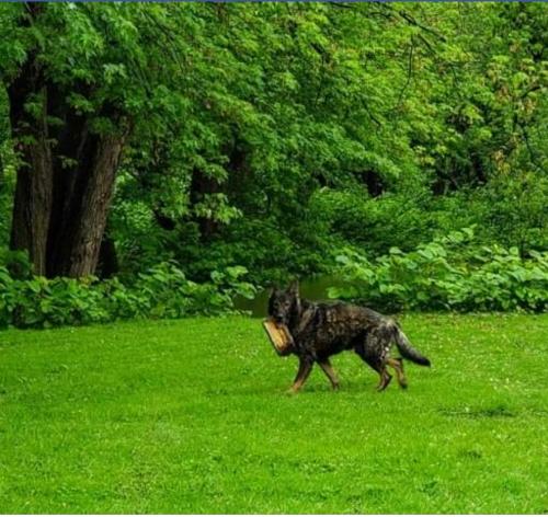 Screenshot_20200910-203819_Chrome