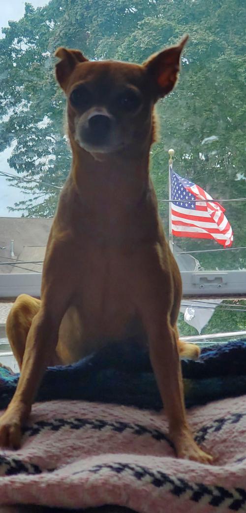 20200910_150612_resized