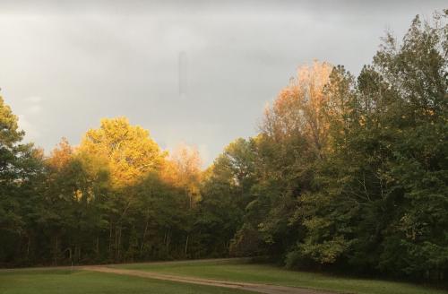 6DEC0471-4132-4A3B-9AEE-08870C72EC06