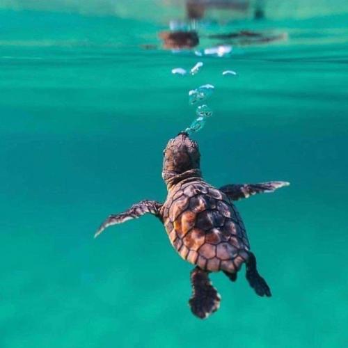 FB_IMG_1582219750167