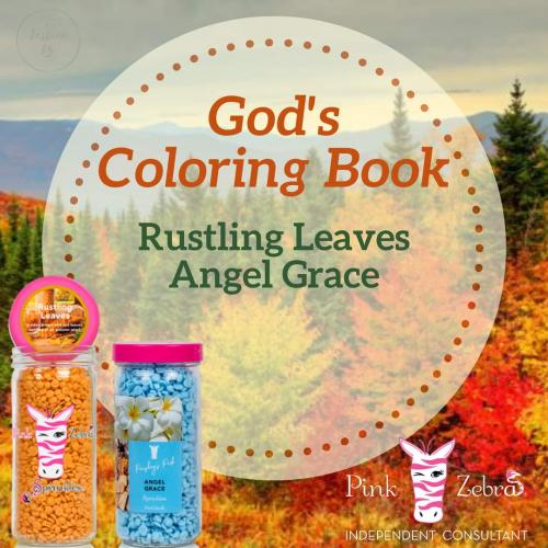 FB_IMG_1599177003622