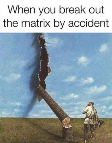 FB_IMG_1597727544443