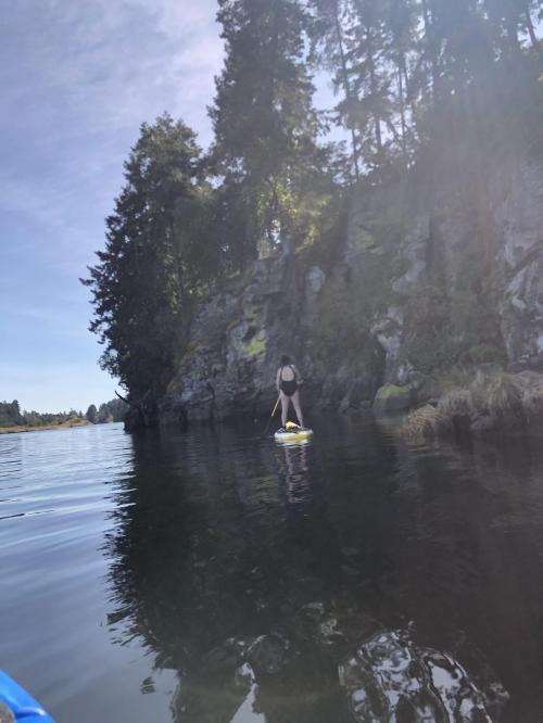 FE6EF042-0FE5-4CD2-B519-294C660F9770