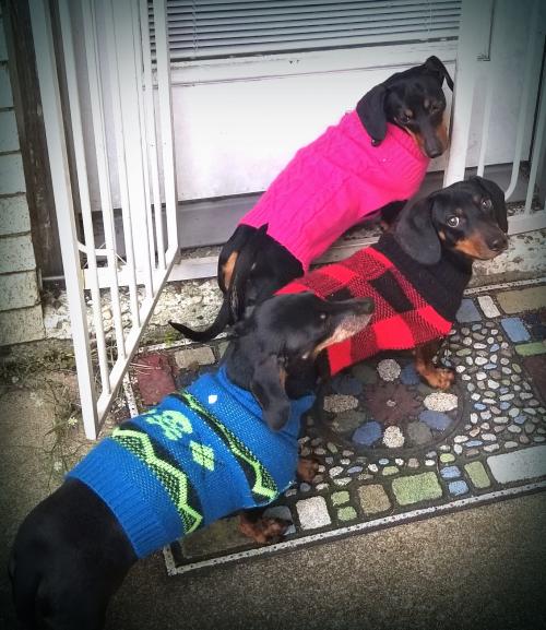 inbound9083652183155346