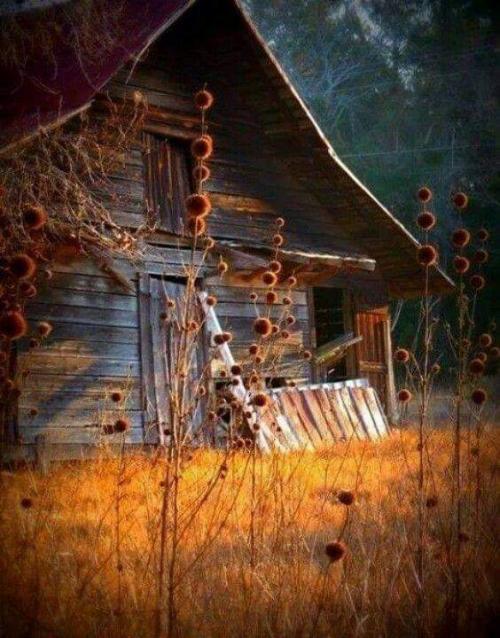 FB_IMG_1601187816180