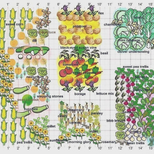 Garden Layout Sample