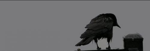 cover1_646x220 (2018_12_14 07_56_33 UTC)