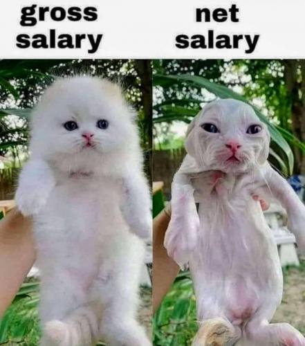 202009010513-70y2YVwqD1