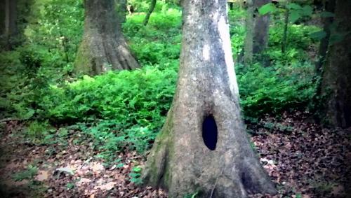 523111_4110513433789_957689403_n_4110513433789