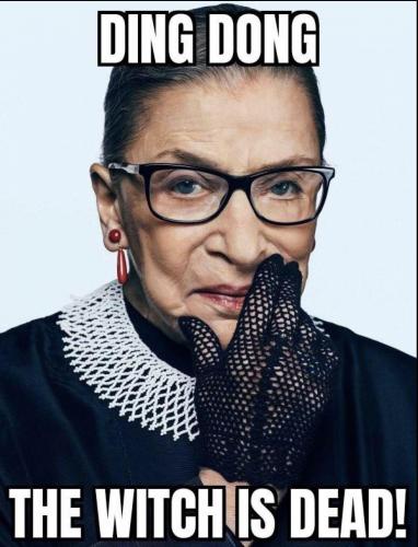 image_36CF88A3-1121-476B-B058-6B5FB525829E