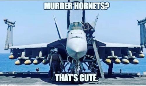 Screenshot_20200508-202409_Instagram