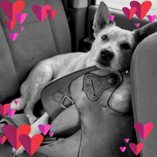 FB_IMG_1555083133332