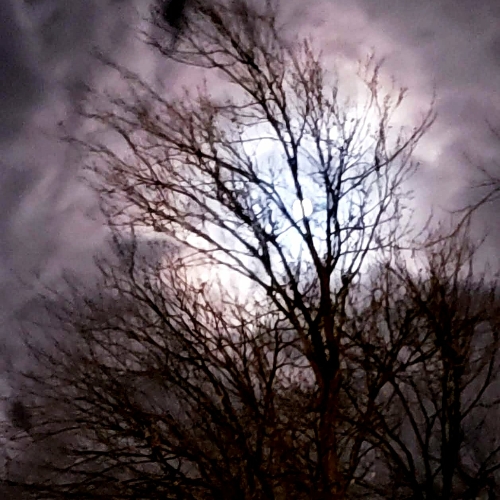 7ec484c2-c606-4722-a2b5-6655e685bee9