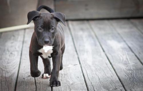 2C9E56A0-314D-466D-BD0B-596724AC61D9