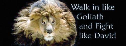 81768398_10158488048792448_3968099415528308736_n