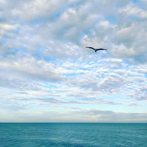 F1375281-DC41-46A9-8BDA-EAA53085DC84