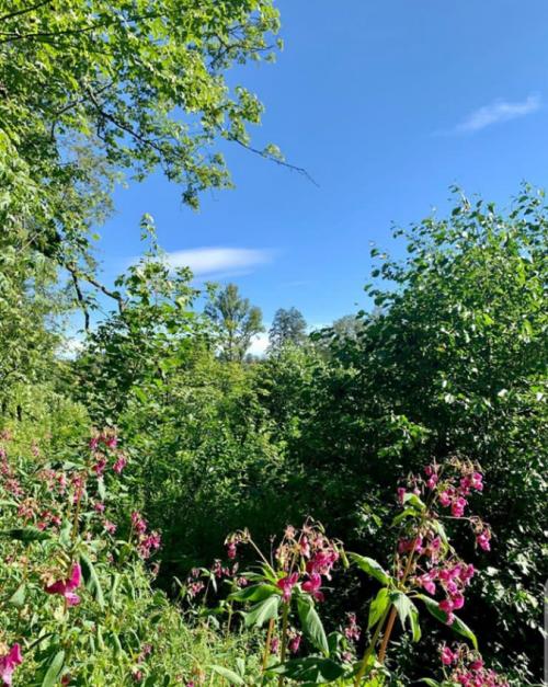 Screenshot_20200927-133617_1601210478551