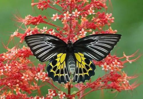 FB_IMG_1599984729861