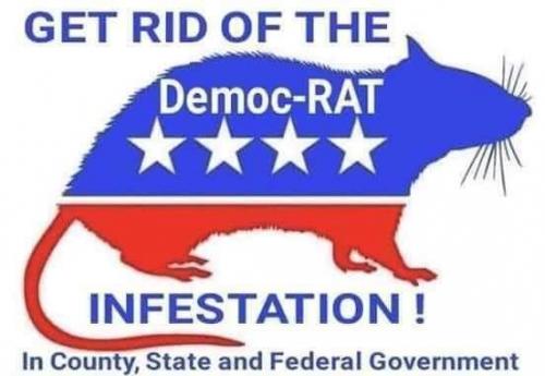 FB_IMG_1599647531938