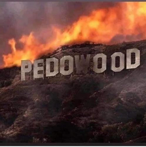 FB_IMG_1595899215873