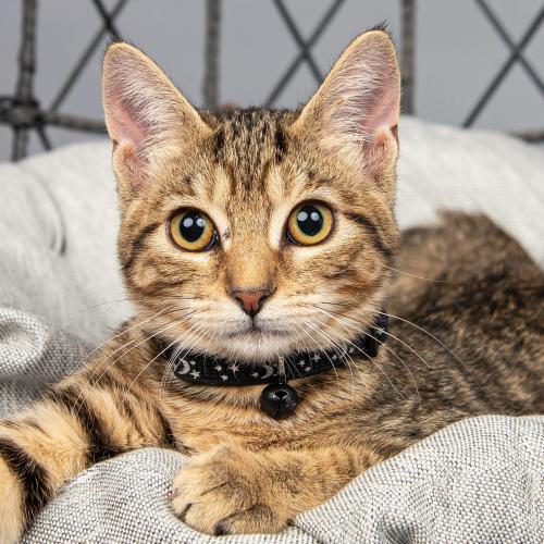 70198969_10157940989664050_5221930974891212800_o