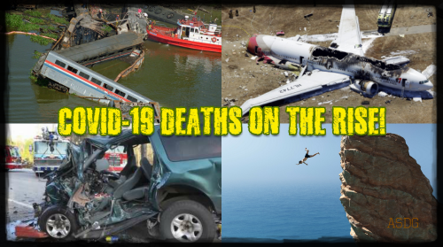 photostudio_1593809444077