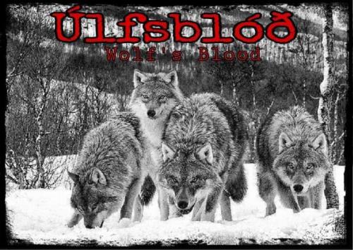 FB_IMG_1601402288752