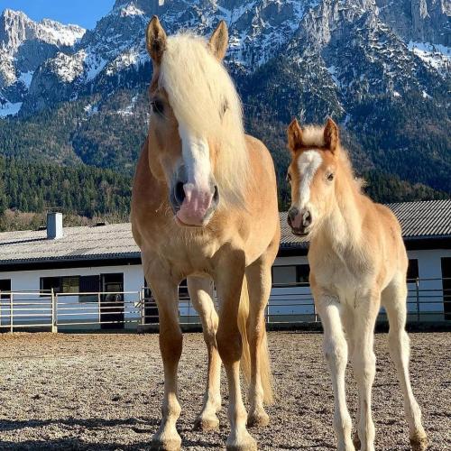 edgaeralex-___BvyTHB9nk_c___-