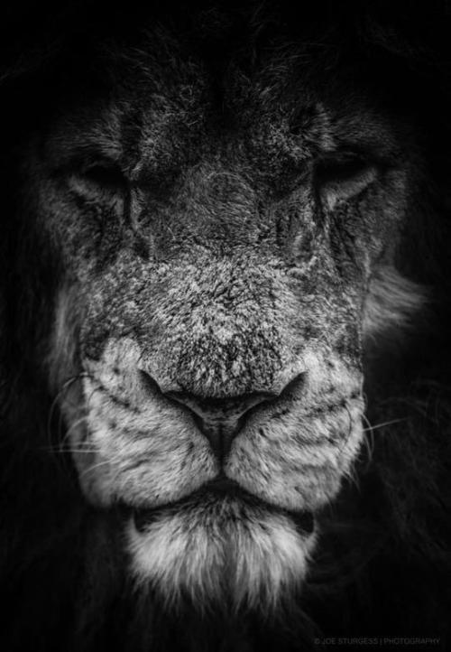 FB_IMG_1563788421540