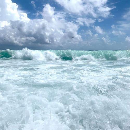 FB_IMG_1599333278498