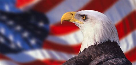 eagleflag