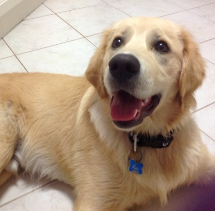 Screenshot_20200918-131729_Words Classic