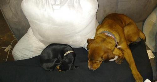 USER_SCOPED_TEMP_DATA_MSGR_PHOTO_FOR_UPLOAD_1600996364859_6715065457116448661