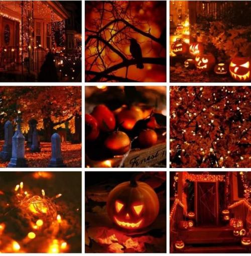 FB_IMG_1600016219395