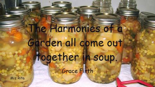 Harmonies of the garden..soup