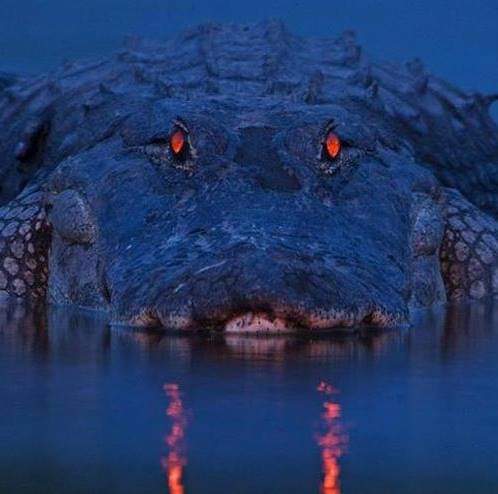 FB_IMG_1599400334007