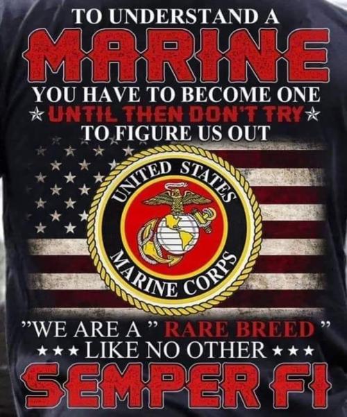 FB_IMG_1597030182992