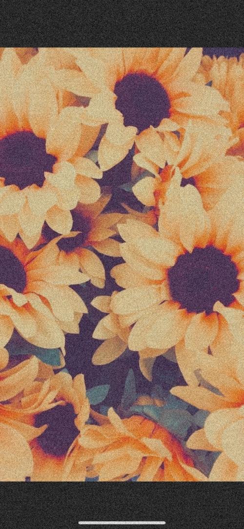 EDE803E2-52EC-4ED6-8CF9-F0917AFC603F