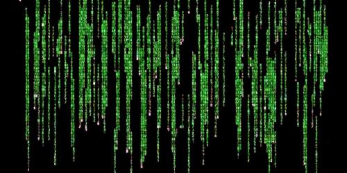 FB_IMG_1598749725678